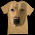  ZLATÝ LABRADOR- velký potisk labradora na tričko